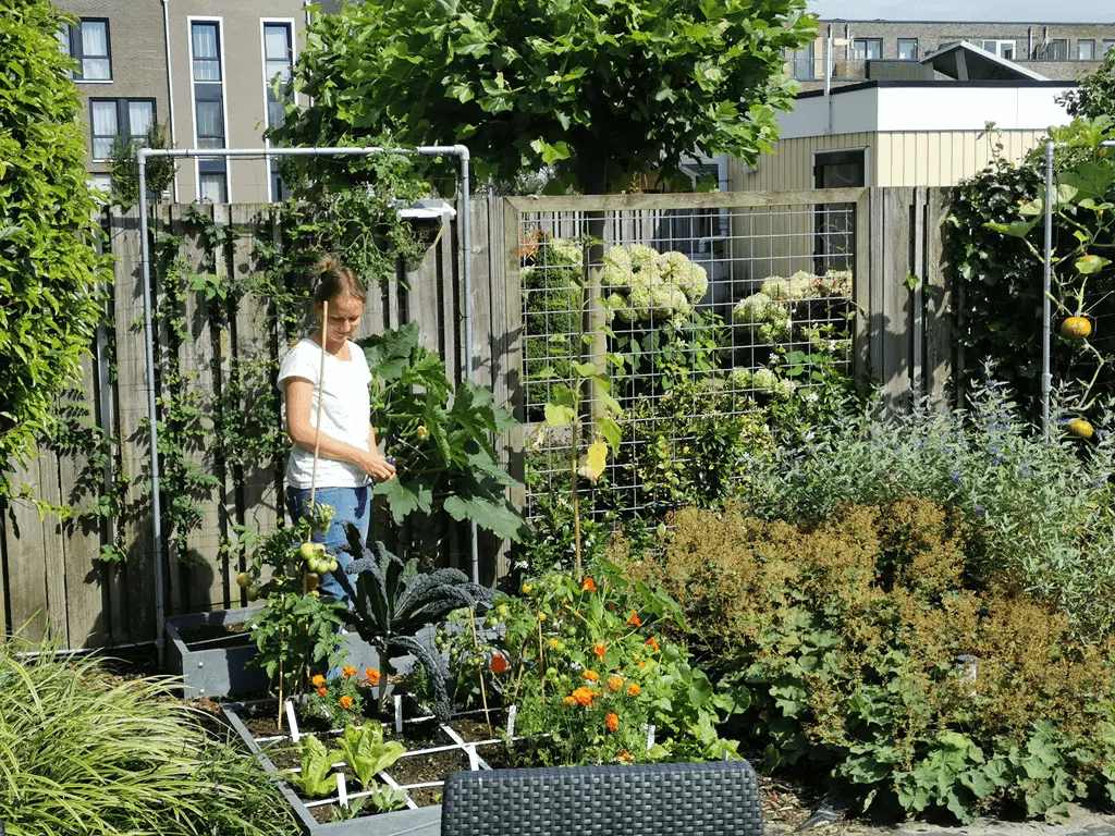 tuinontwerp laten maken aan de hand van een persoonlijke benadering door een gepassioneerd tuinontwerper